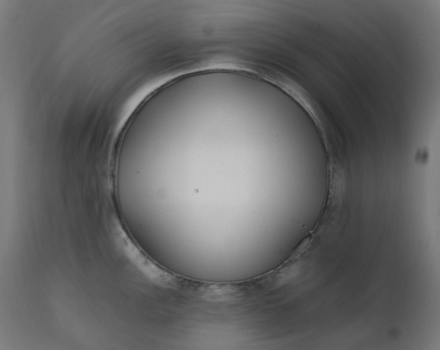 X0000111501148200907281245