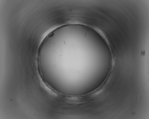 X0000111501149200907281245