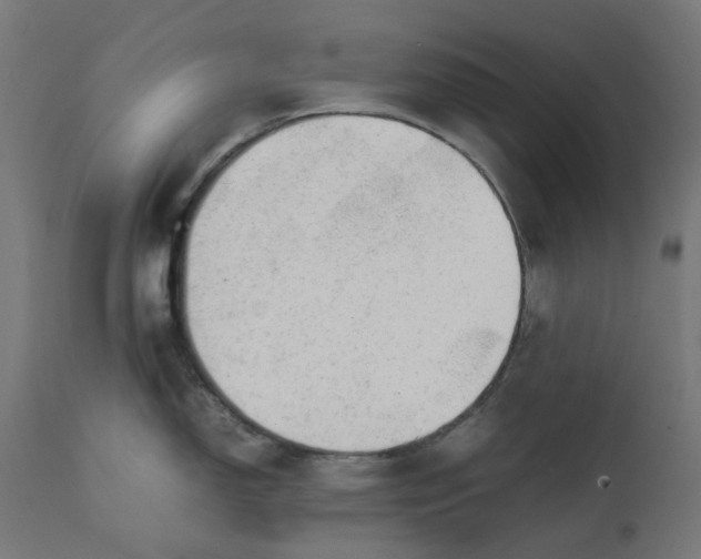 X0000111501150200907281245