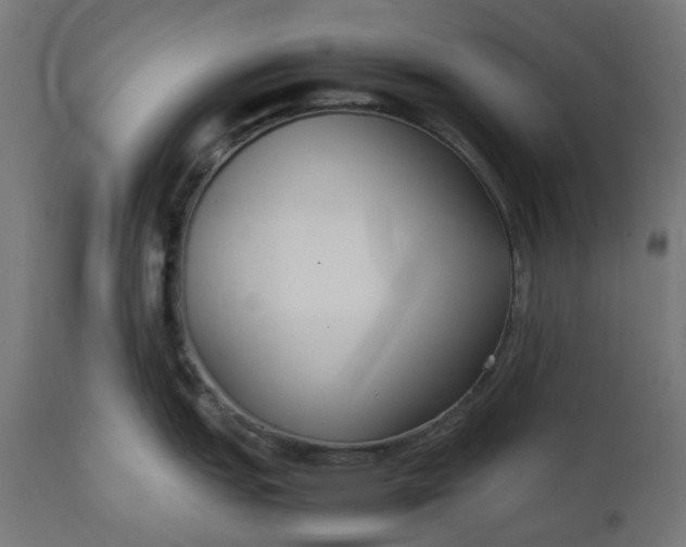 X0000111501151200907281245