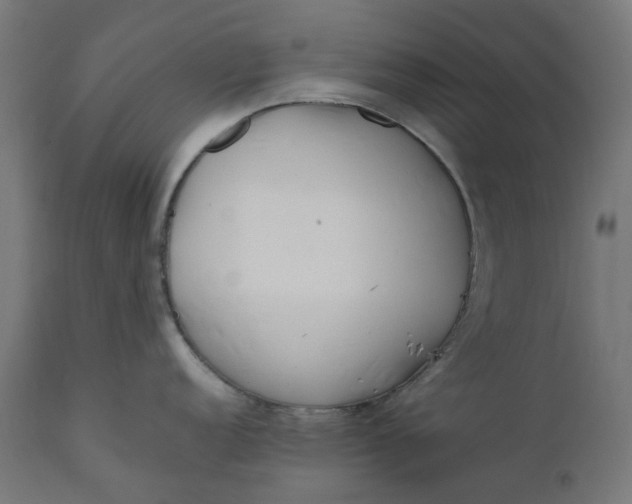 X0000111501152200907281245