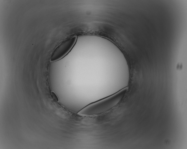 X0000111501153200907281244