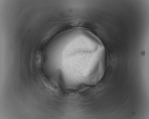 X0000111501154200907281244