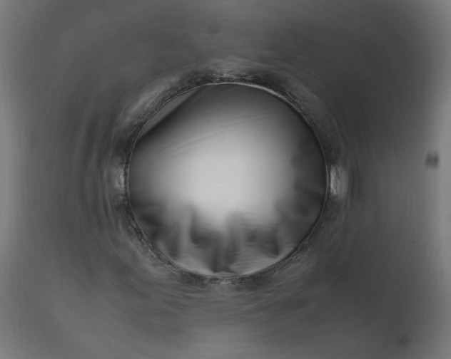 X0000111501155200907281244