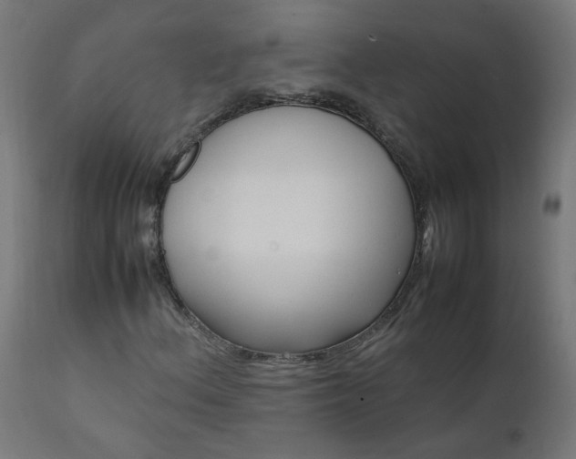 X0000111501156200907281244