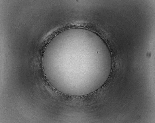 X0000111501158200907281244