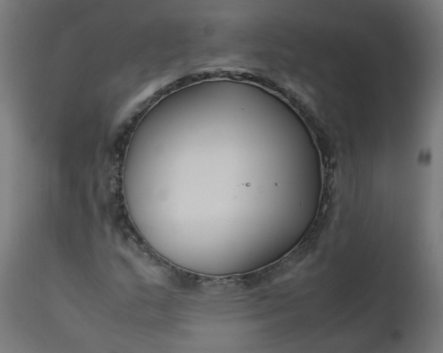 X0000111501159200907281244