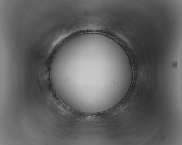 X0000111501160200907281244