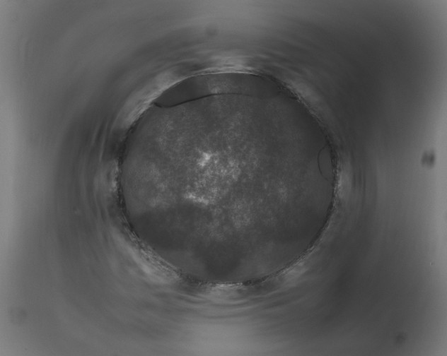 X0000111501161200907281244