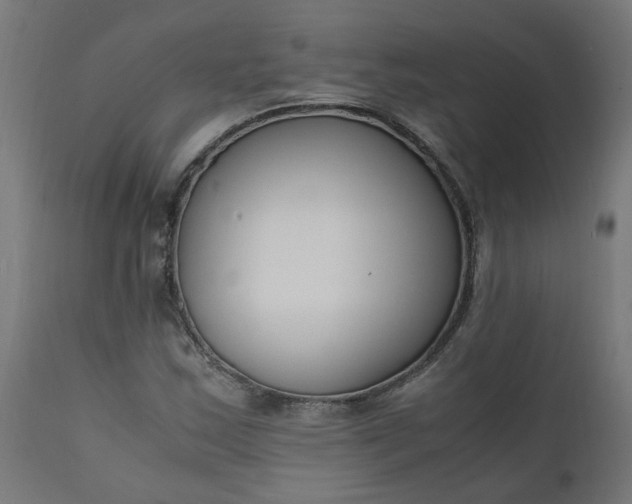 X0000111501163200907281244