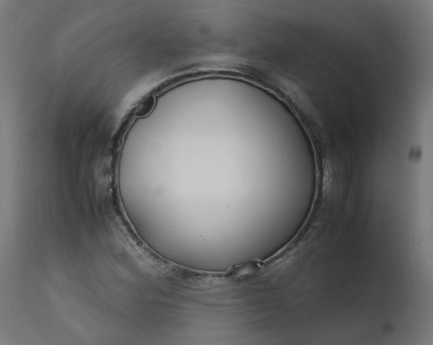 X0000111501164200907281244