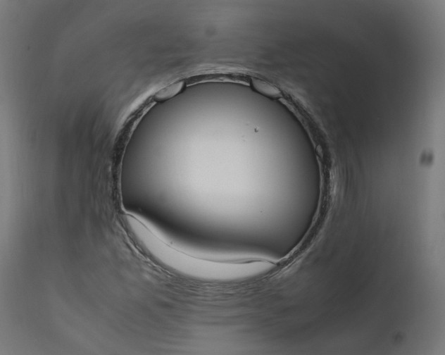 X0000111501165200907281244