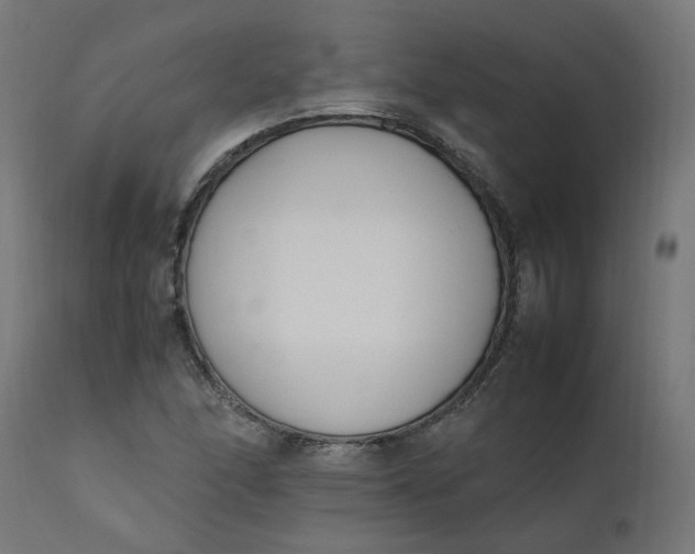 X0000111501166200907281244