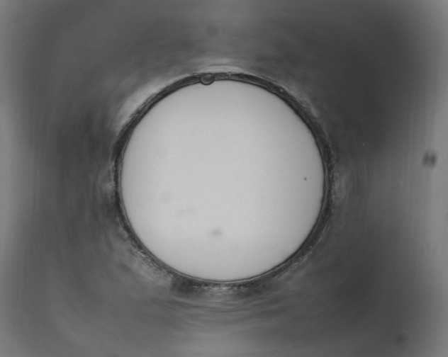 X0000111501167200907281244