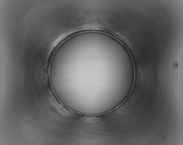 X0000111501168200907281244