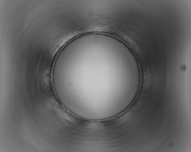 X0000111501170200907281244