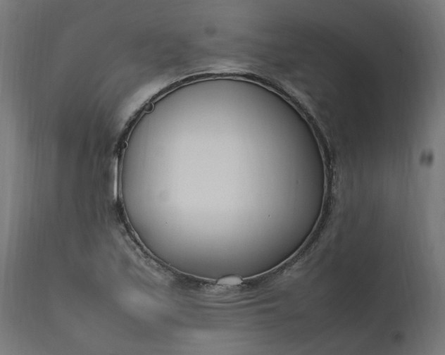 X0000111501171200907281244