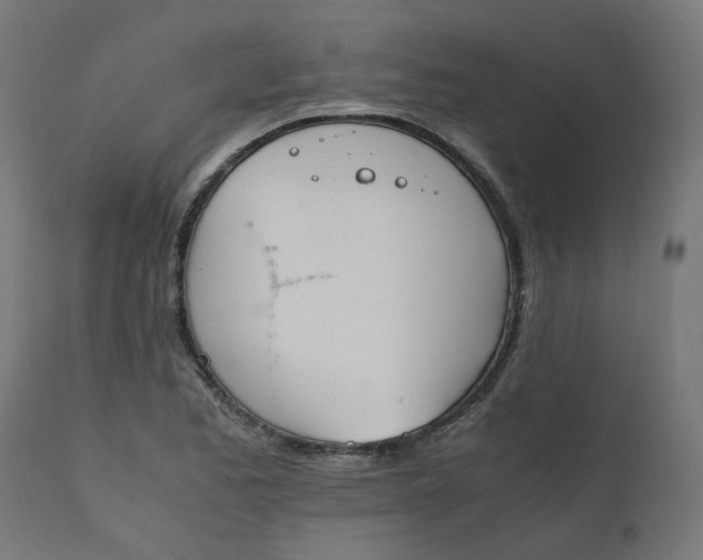 X0000111501173200907281244