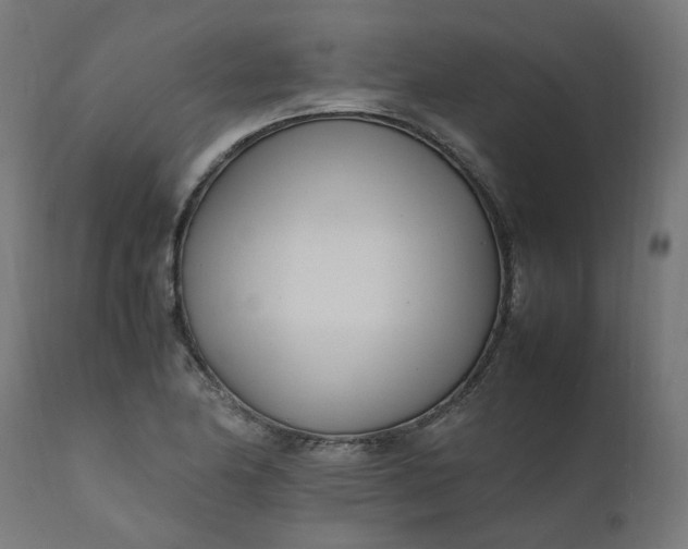 X0000111501174200907281244