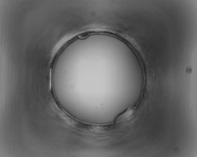 X0000111501175200907281244