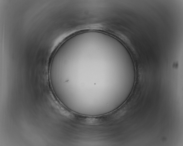 X0000111501176200907281244