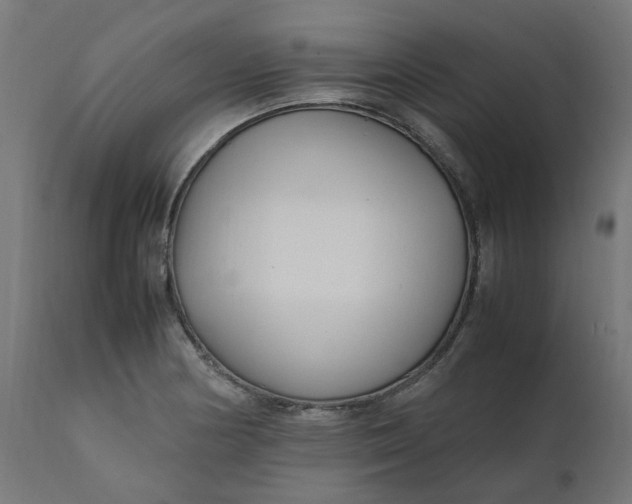 X0000111501178200907281244