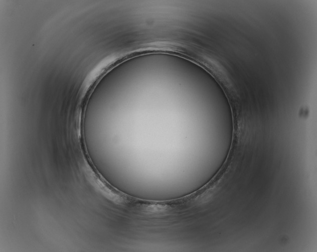 X0000111501180200907281244