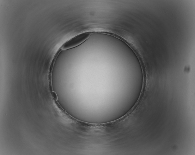 X0000111501181200907281244