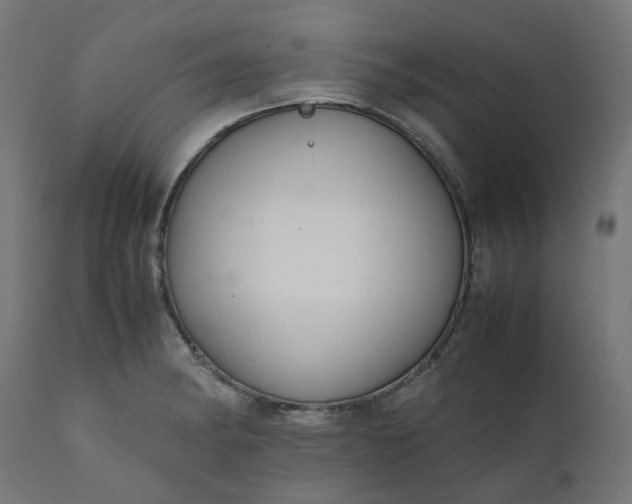 X0000111501182200907281244