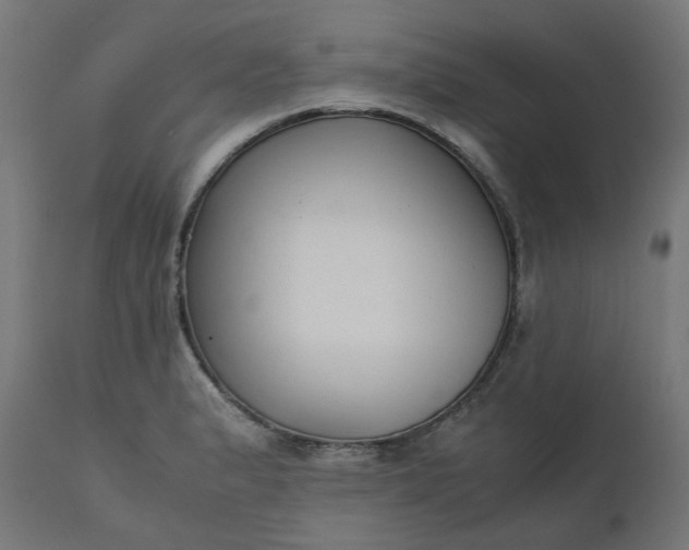 X0000111501183200907281244