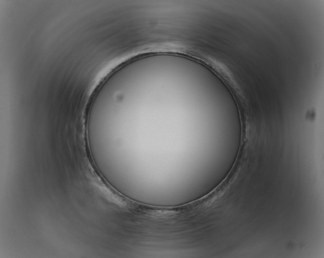 X0000111501184200907281244