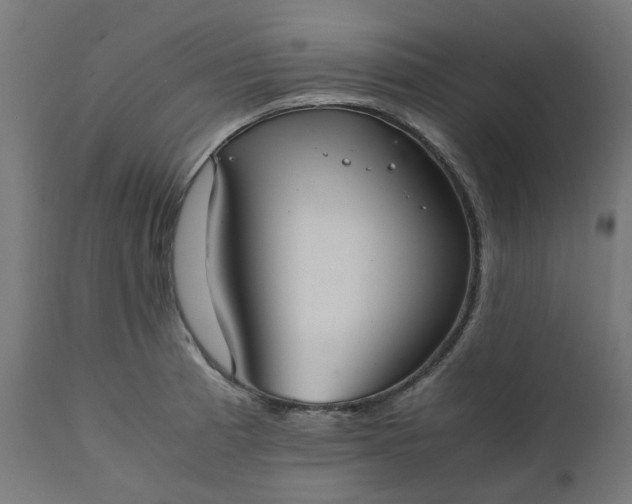 X0000111501185200907281244