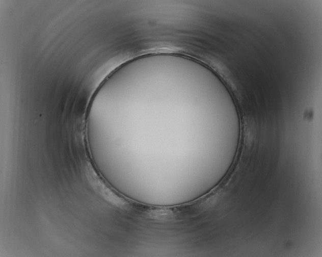 X0000111501186200907281244