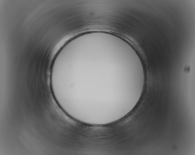 X0000111501188200907281244