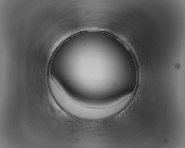 X0000111501189200907281244