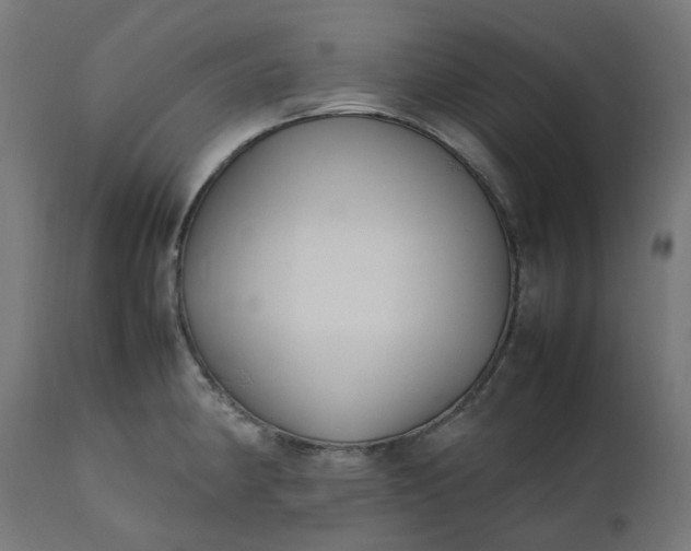 X0000111501190200907281244