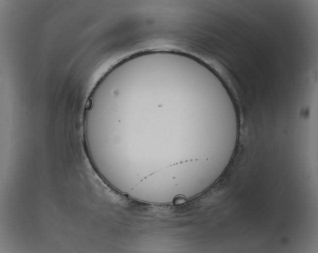 X0000111501191200907281244