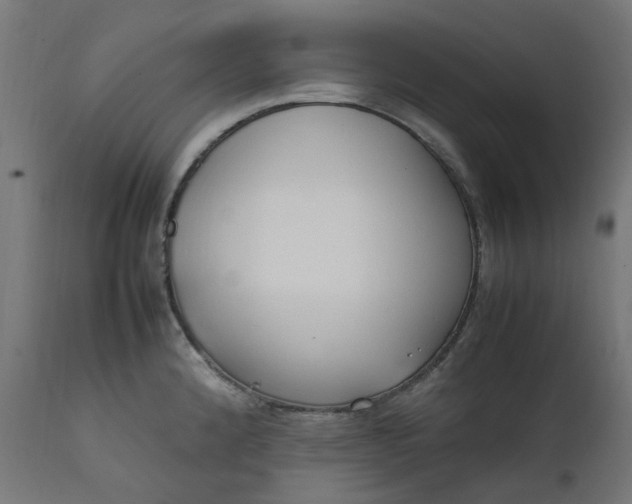 X0000111501192200907281244