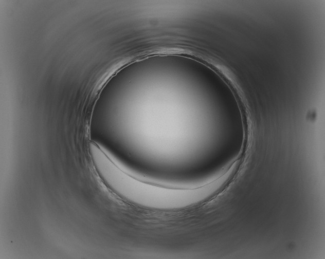 X0000111501193200907281244