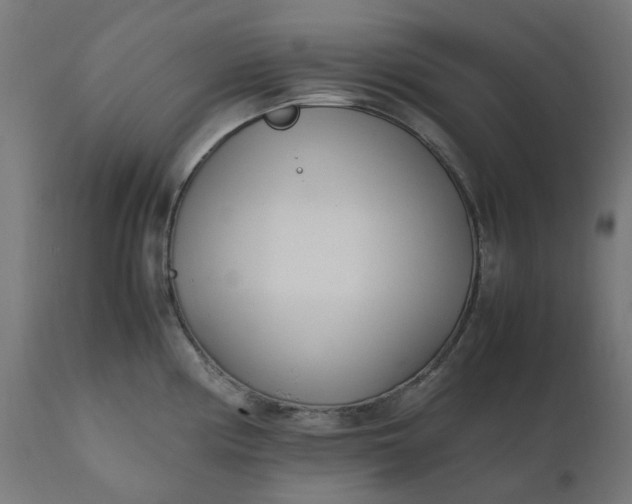 X0000111501194200907281244