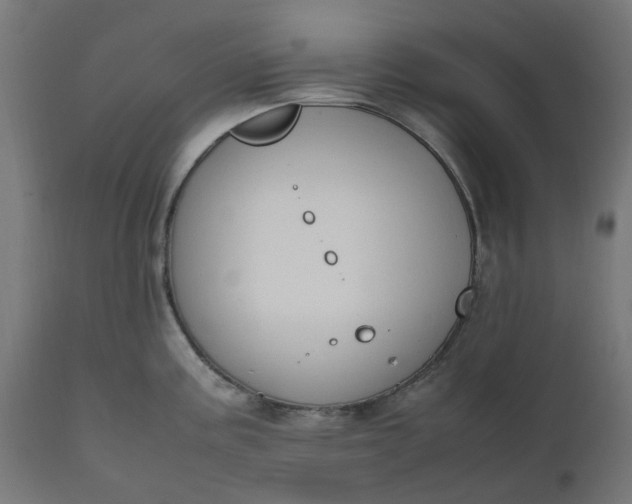 X0000111501195200907281244