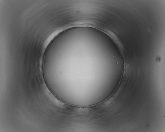 X0000111501196200907281244