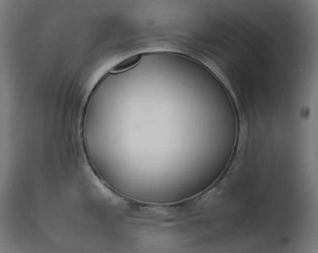 X0000111501197200907281244