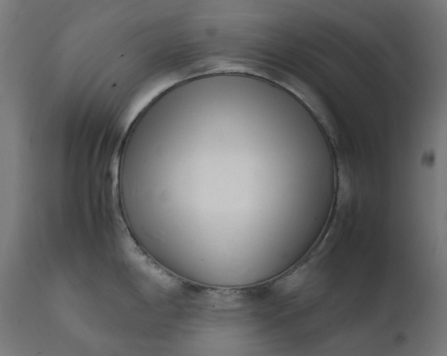 X0000111501198200907281244