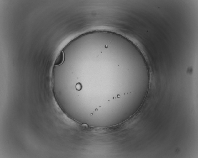 X0000111501199200907281244