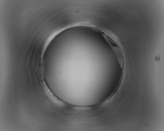 X0000111501200200907281244