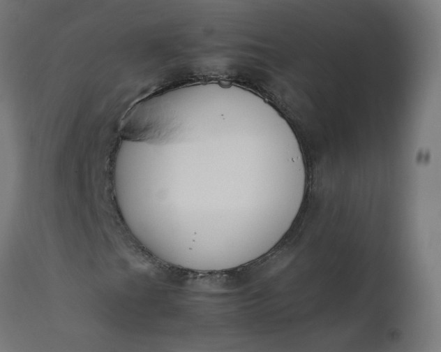 X0000111501201200907281243