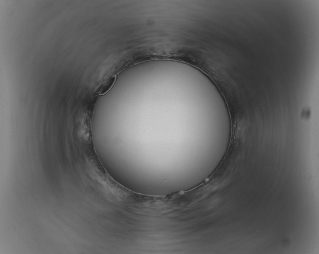 X0000111501202200907281243