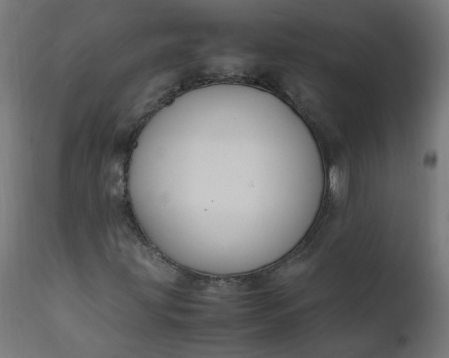 X0000111501203200907281243