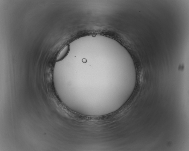 X0000111501204200907281243